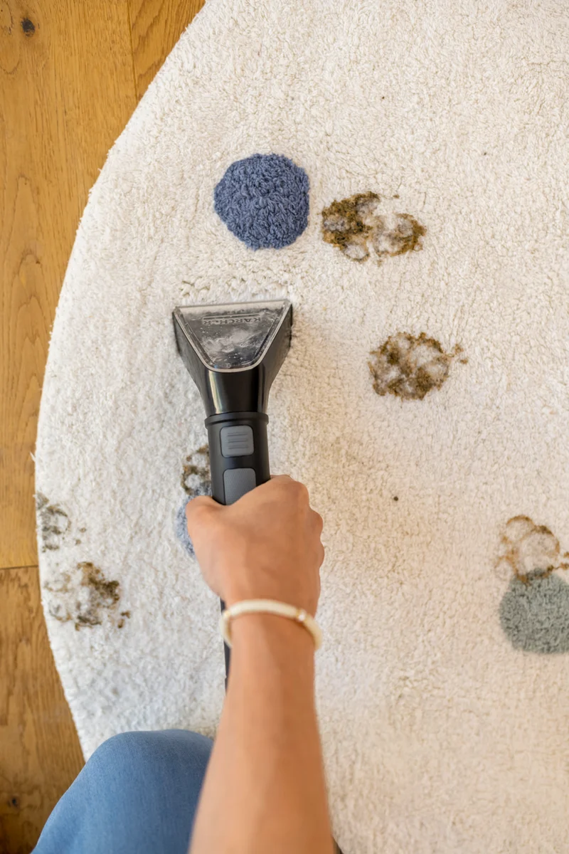 Karcher SE 2 Spot Cleaner