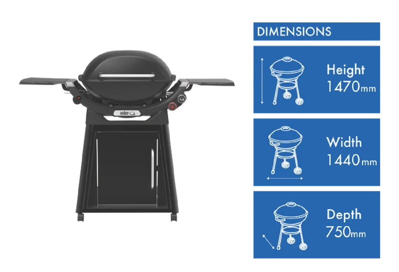 Weber Family Q 3100N+ NG Midnight Black