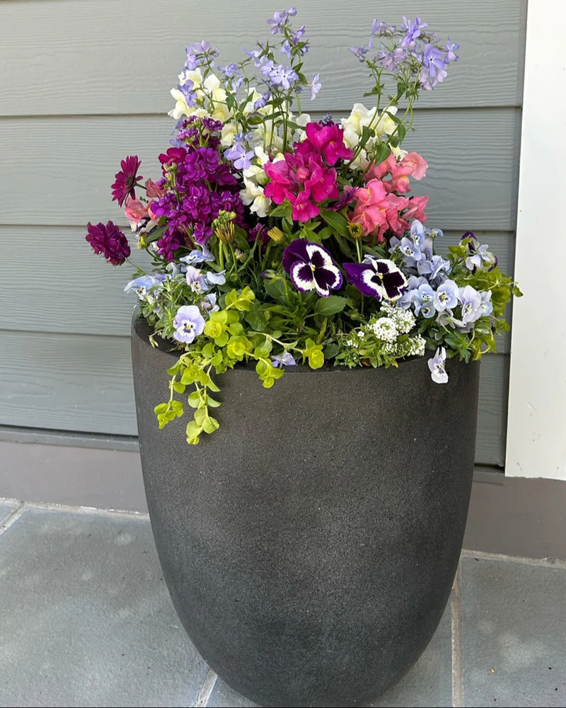 Bradford Planter Imperfectly Perfect (used)
