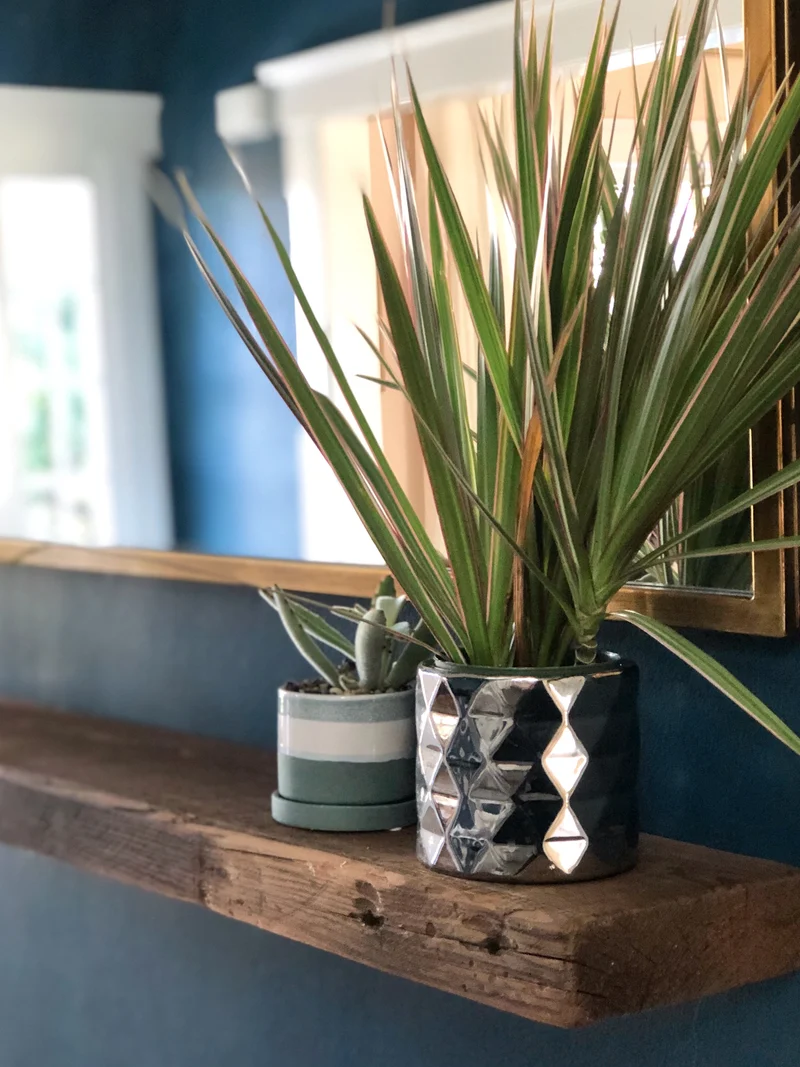 Geo Silver Pot