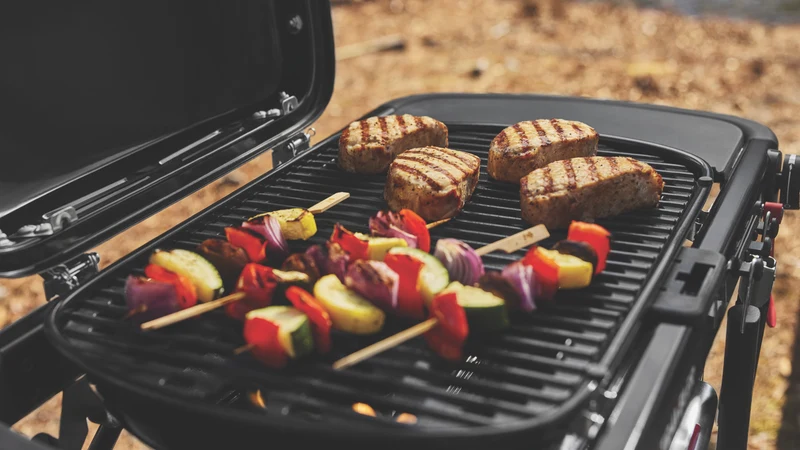 Weber Traveler Compact