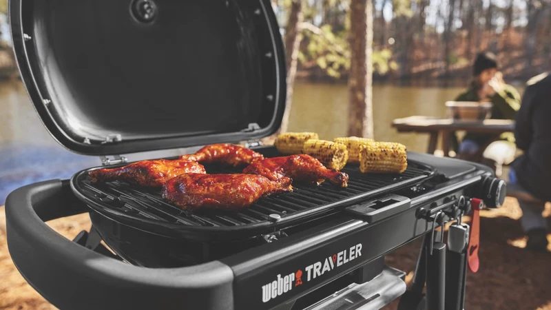 Weber Traveler Compact