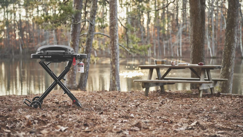 Weber Traveler Compact