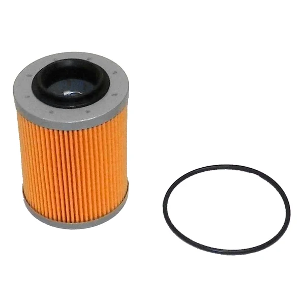 WSM Oil Filter (800953)