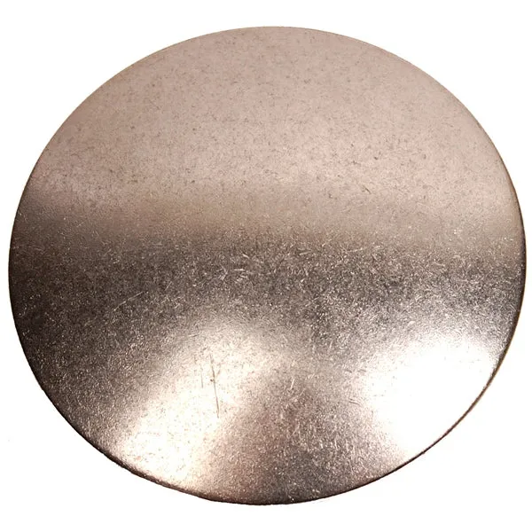 BRP Evinrude Plug (823341)