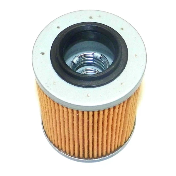 WSM Oil Filter (796305)