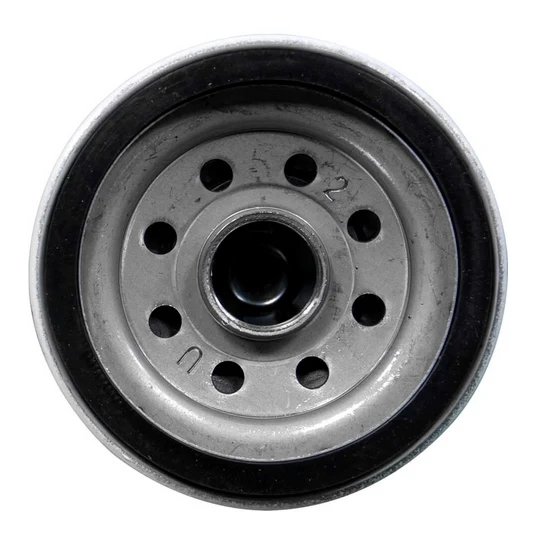 Sierra Oil Filter (791375)