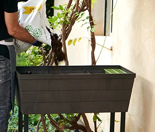 Keter Urban Bloomer 12.7 Gallon Raised Garden Bed with Self Watering Planter Box and Drainage Plug, Dark Grey