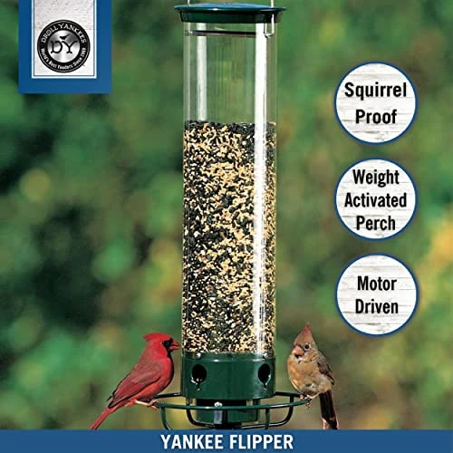Droll Yankees YF-M Yankee Flipper Squirrel-Proof Bird Feeder, 17.25", Green