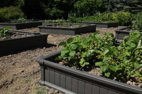 Lifetime 60065 Raised Garden Bed, 4 by 4 Feet, 1 Bed