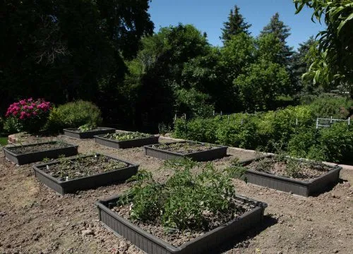 Lifetime 60065 Raised Garden Bed, 4 by 4 Feet, 1 Bed