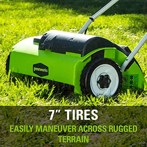 Greenworks 14-Inch 10 Amp Corded Dethatcher 27022, Green