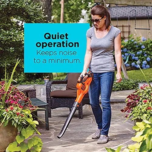 BLACK+DECKER 20V MAX* Cordless Sweeper with Power Boost (LSW321)