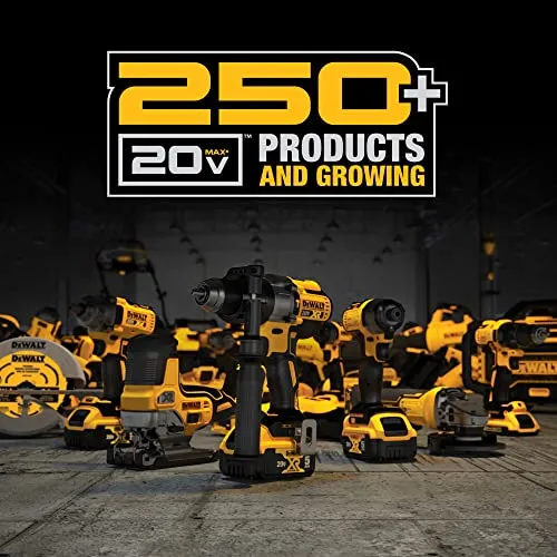 DEWALT 20V MAX* XR Battery, 4.0-Ah, 2-Pack (DCB204-2)