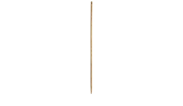 Manche balais LEBORGNE 513160