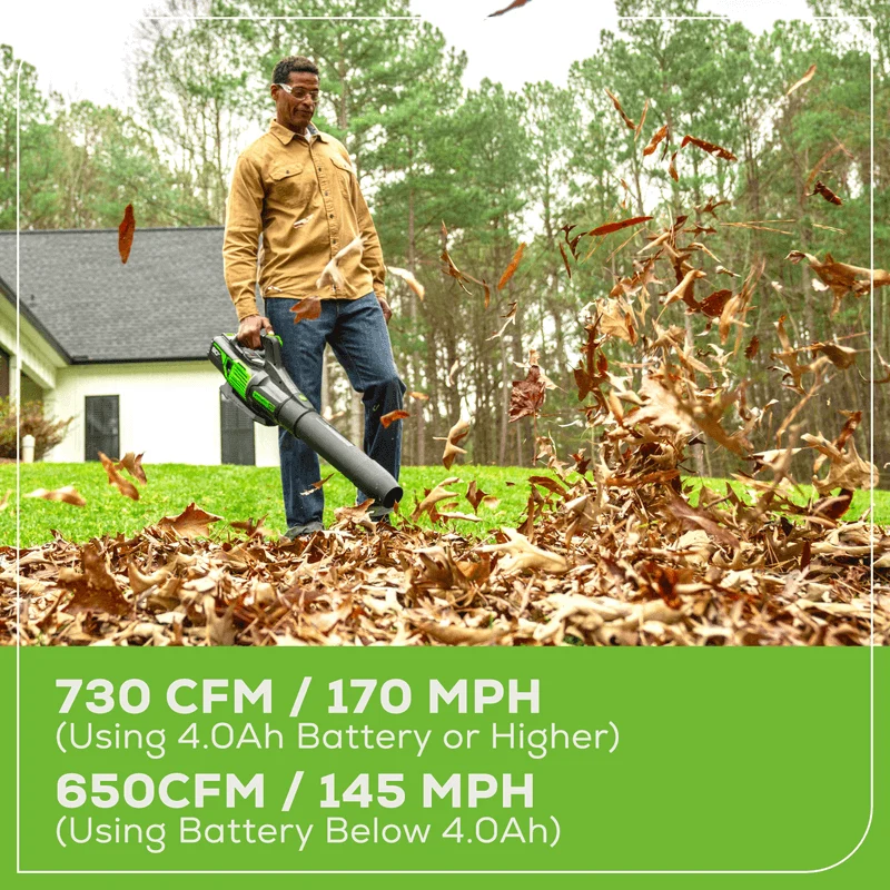 80V 730 CFM - 170 MPH Brushless Leaf Blower (Tool Only) BL80L02