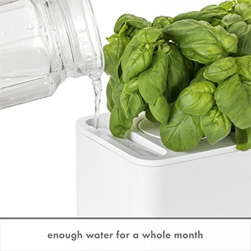 Click & Grow Indoor Herb Garden Kit with Grow Light | Smart Garden for Home Kitchen Windowsill | Easier Than Hydroponics Growing System | Vegetable Gardening Starter (3 Basil Pods Included), White