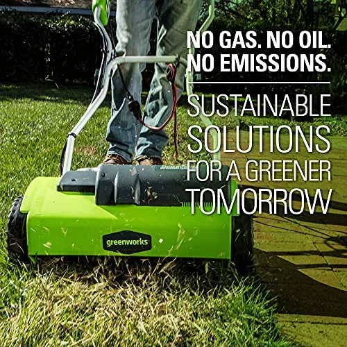 Greenworks 10 Amp 14-Inch Corded Dethatcher, 27022