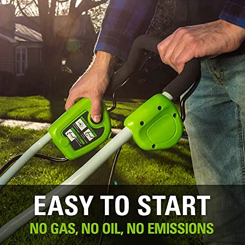 Greenworks 10 Amp 14-Inch Corded Dethatcher, 27022