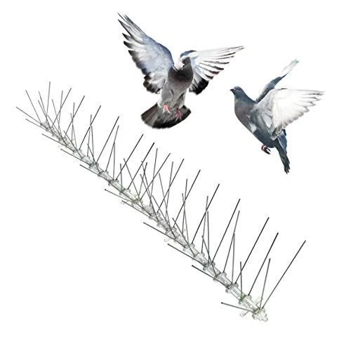 Bird-X STS-50 Regular Width 6-inch Stainless Steel Bird Spikes, Metal Roof Guard Pigeon Prevention, Rodent Deterrent, Animal and Pest Control Supplies, 50 feet
