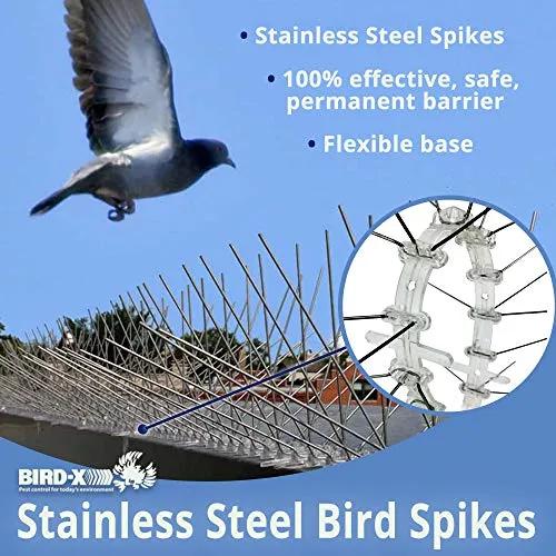 Bird-X STS-50 Regular Width 6-inch Stainless Steel Bird Spikes, Metal Roof Guard Pigeon Prevention, Rodent Deterrent, Animal and Pest Control Supplies, 50 feet