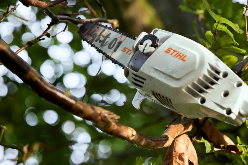 Perche d'élagage à batterie STIHL HTA 86