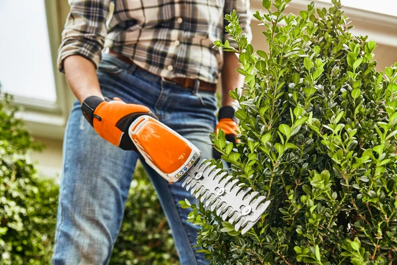 HSA 26 STIHL Cisaille à batterie PACK