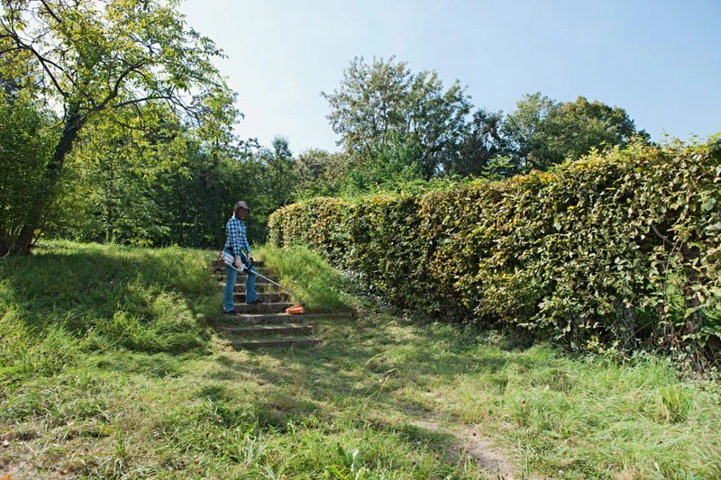 Débroussailleuse STIHL FSE 81