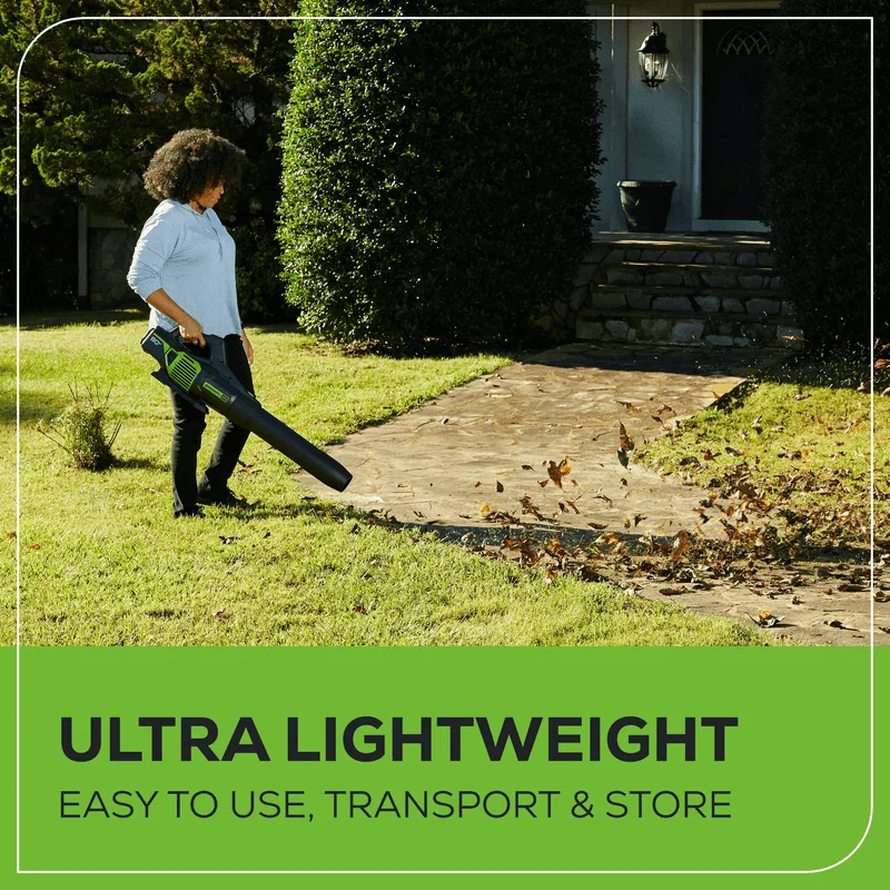 80V 730 CFM - 170 MPH Brushless Leaf Blower (Tool Only)