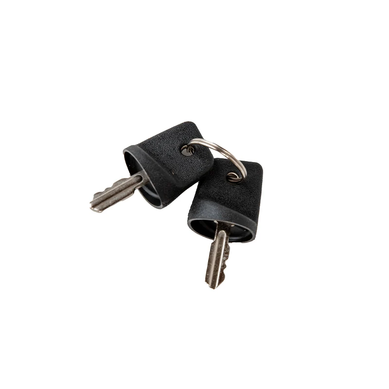 2 Pack Safety Keys