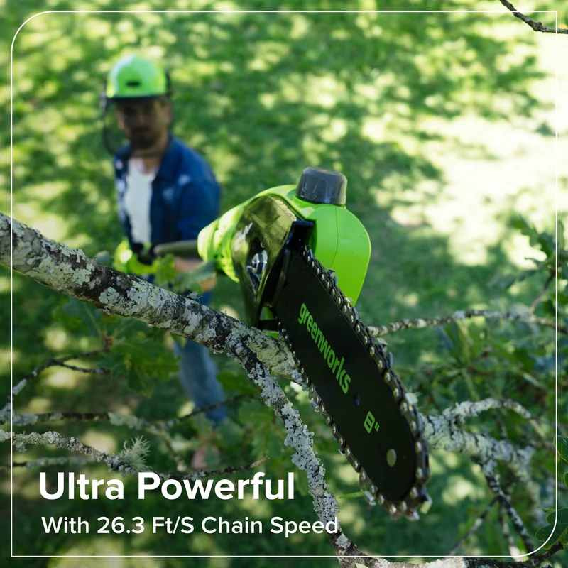 24V Brushless 8" Pole Saw, 2.0Ah Battery and 30W Type-C Charger (3-FT) Included