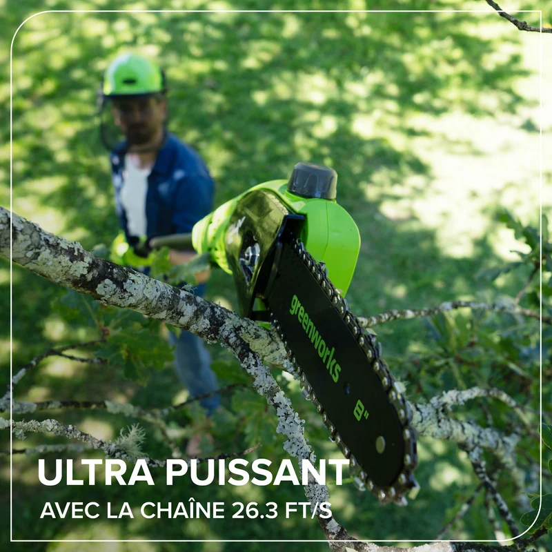 24V Brushless 8" Pole Saw, 2.0Ah Battery and 30W Type-C Charger (3-FT) Included