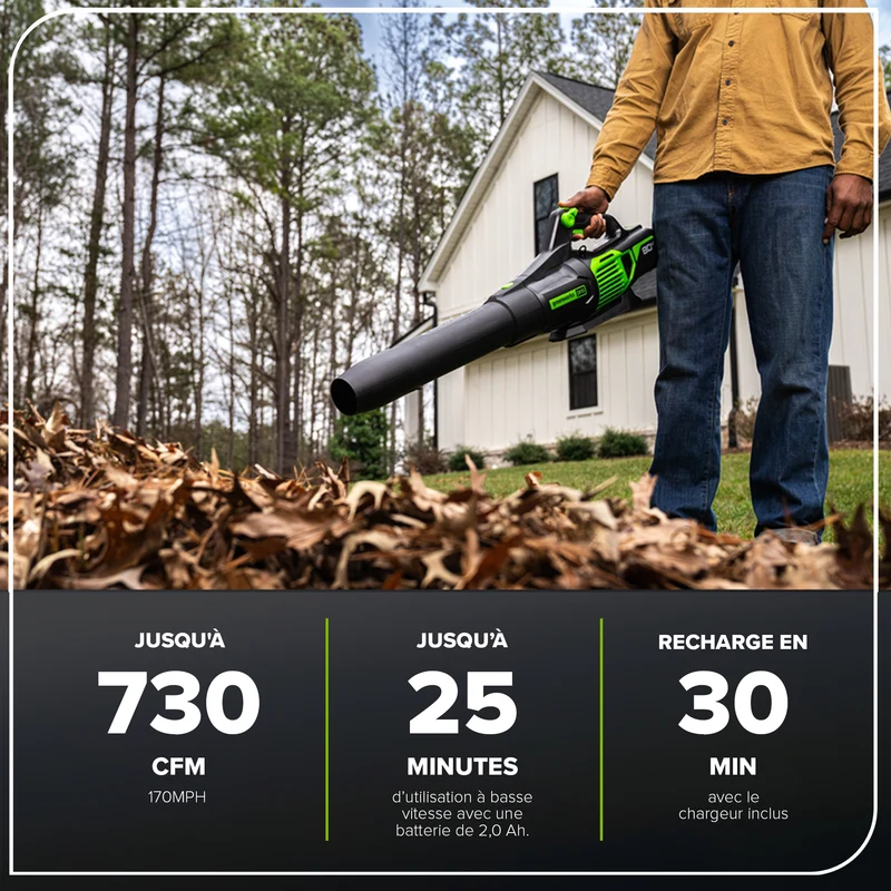 80V 650 CFM - 145 MPH Leaf Blower, 2.0Ah Battery and Charger Included