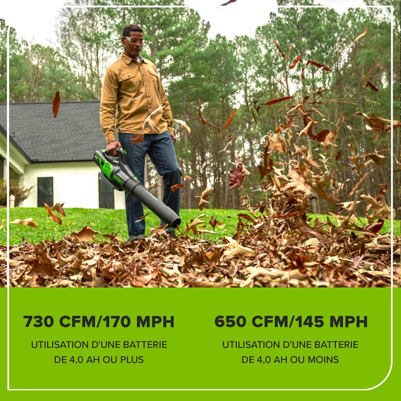 80V 650 CFM - 145 MPH Leaf Blower, 2.0Ah Battery and Charger Included