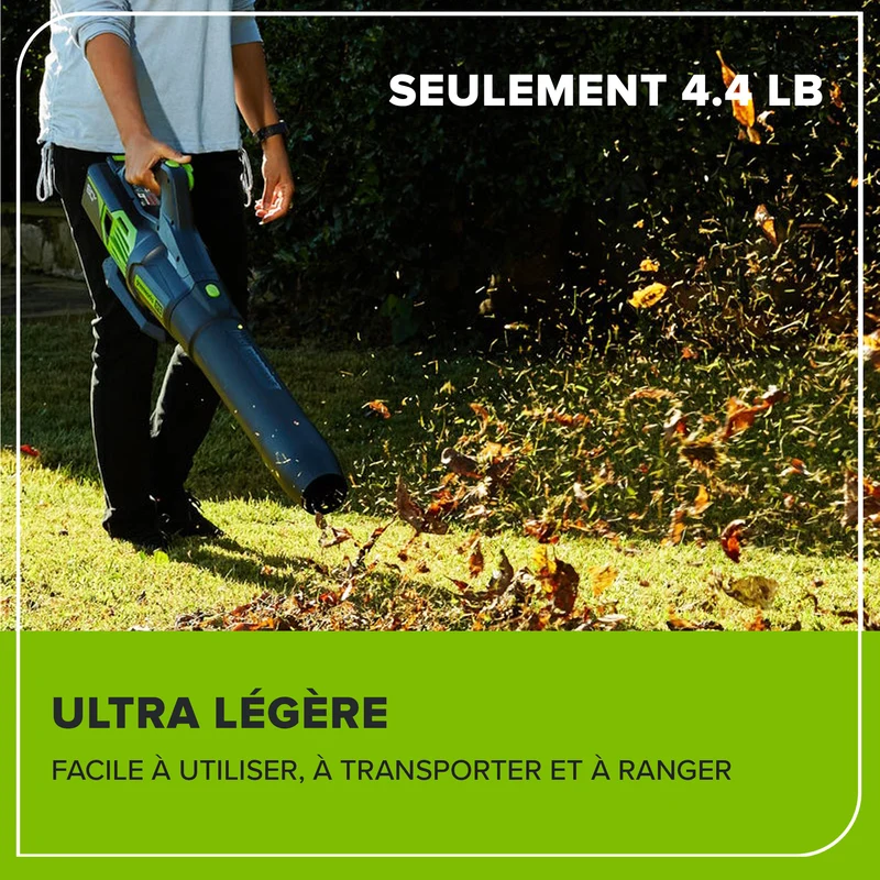 80V 650 CFM - 145 MPH Leaf Blower, 2.0Ah Battery and Charger Included