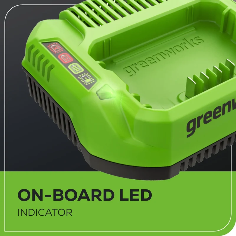 80V 2 Amp Charger