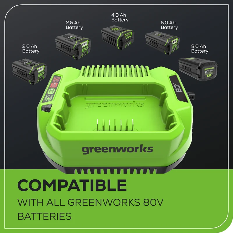 80V 2 Amp Charger