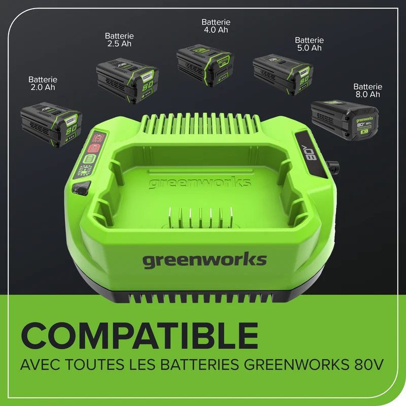 80V 2 Amp Charger