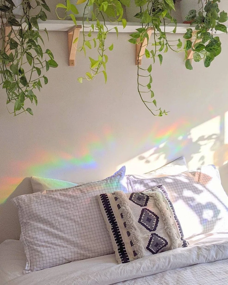 Whale Suncatcher Sticker - Prismatic Kitty