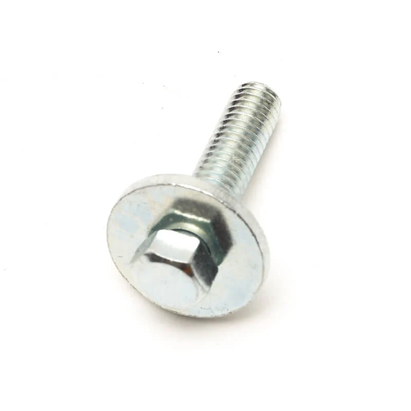 Bolt and Washer