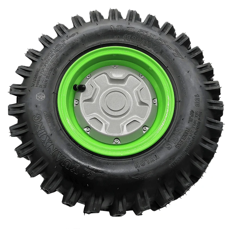 Left Wheel Hub Motor Assembly