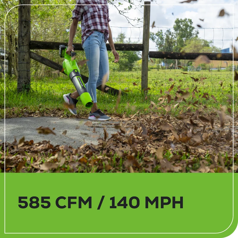 48V (24V x 2) Brushless Leaf Blower 140 MPH - 585 CFM, (2) 4.0Ah USB Batteries and Dual Port Charger Included, BL48L4410