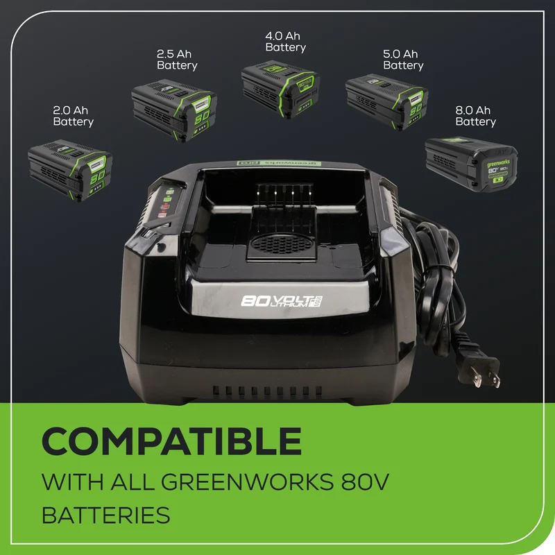80V 6 Amp Rapid Charger