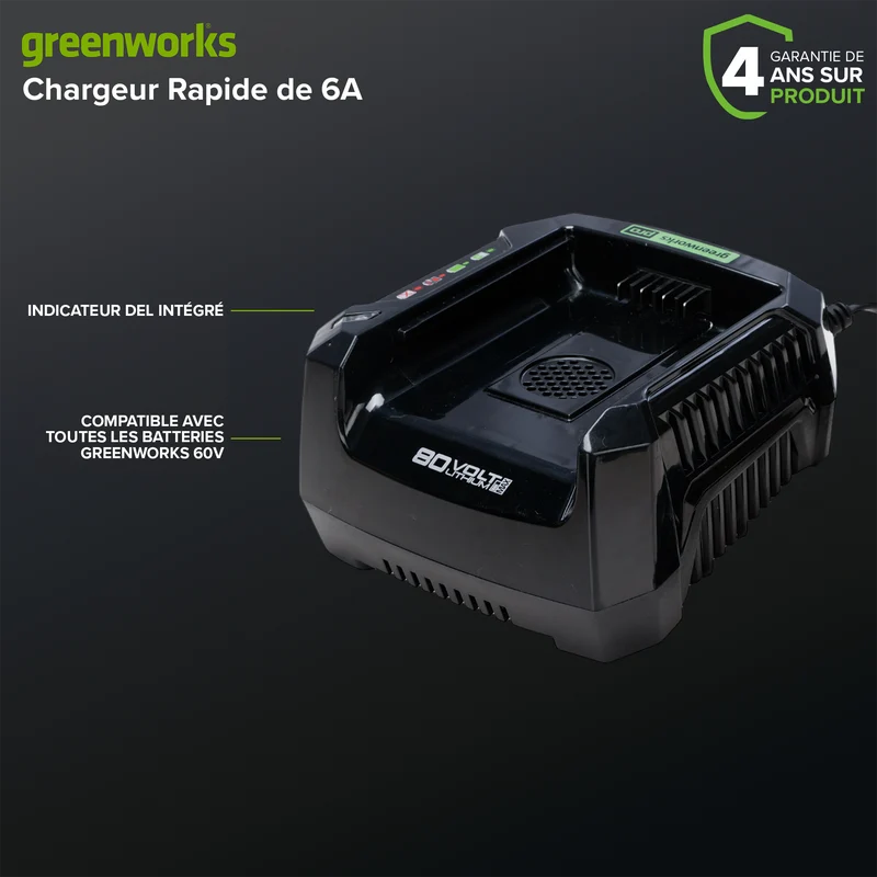 80V 6 Amp Rapid Charger