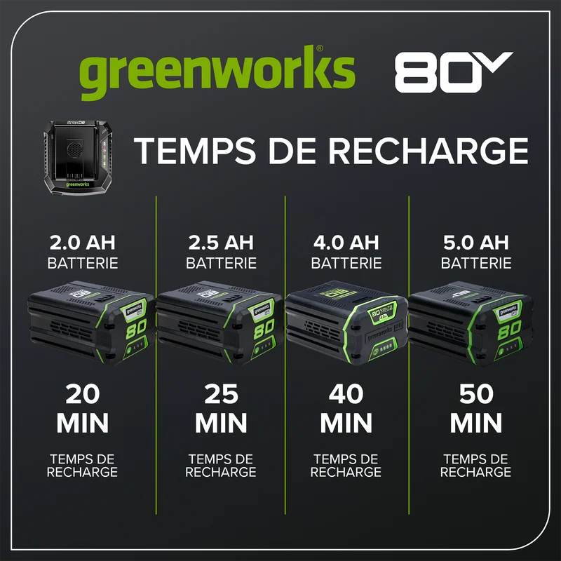 80V 6 Amp Rapid Charger