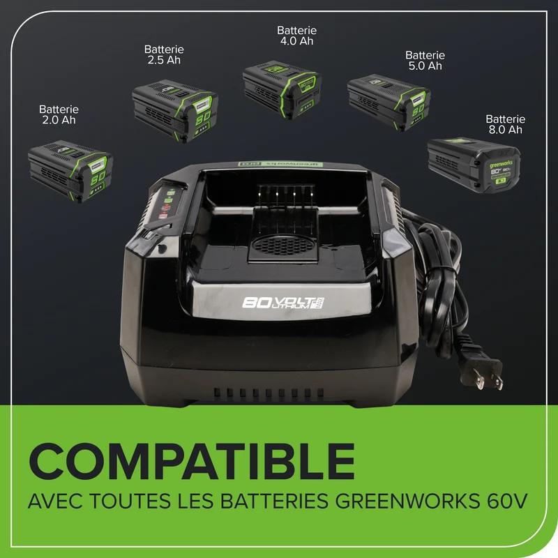 80V 6 Amp Rapid Charger