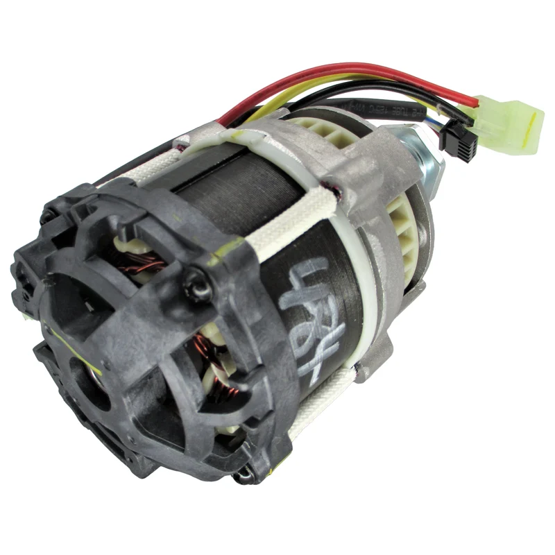 GW 60V Motor Assembly