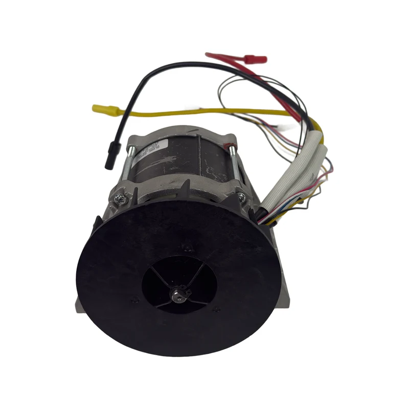 60V Main Motor