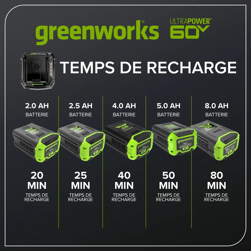 60V Rapid Charger