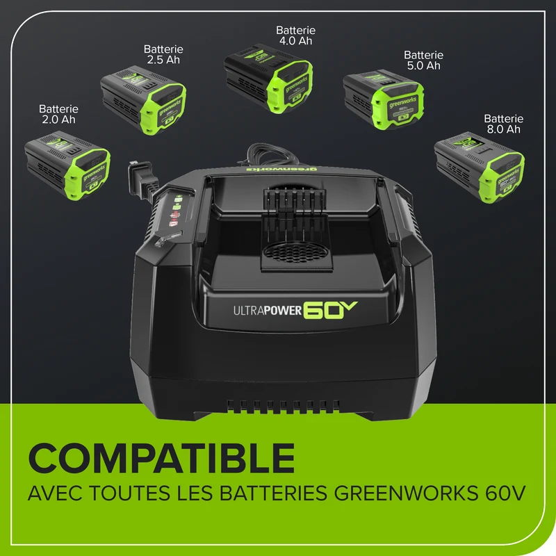 60V Rapid Charger